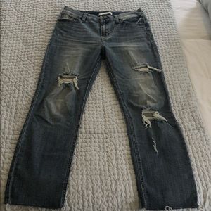 Willow and Root Jeans